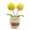 Crocheted Tulip Planter