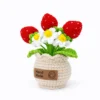 Hand crochet Strawberry Planter