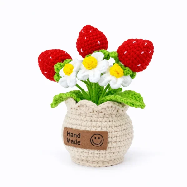 Hand crochet Strawberry Planter