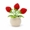 Hand crochet Strawberry Planter