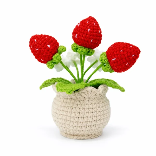 Hand crochet Strawberry Planter