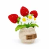 Hand crochet Strawberry Planter