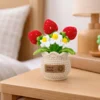 Hand crochet Strawberry Planter
